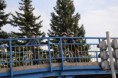 /album/dopravne-ihrisko/dsc-0156-jpg/